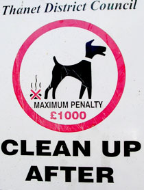 Applied information design: Dog walkers