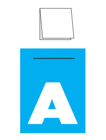 Information design in Politics 2