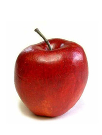 Information design rationale as a teaching strategy