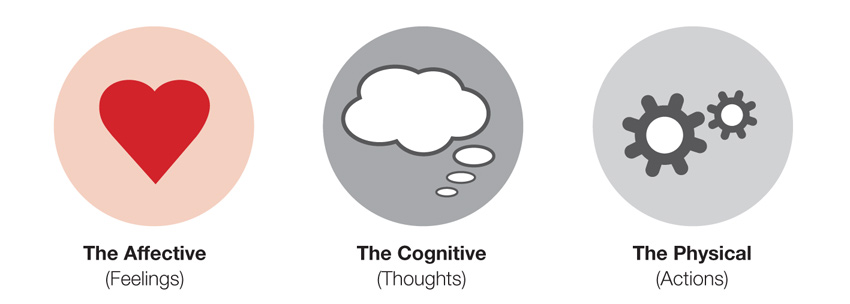 Components involved in problem-solving ()