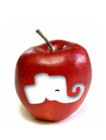 The Elephant of Design Education