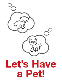 Unambiguous communication: the key to understanding