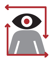 Visual reasoning through information design